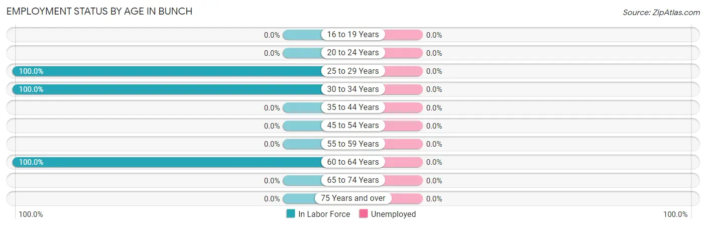 Employment Status by Age in Bunch