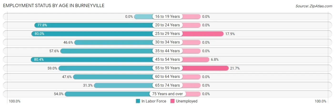 Employment Status by Age in Burneyville