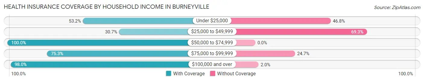 Health Insurance Coverage by Household Income in Burneyville