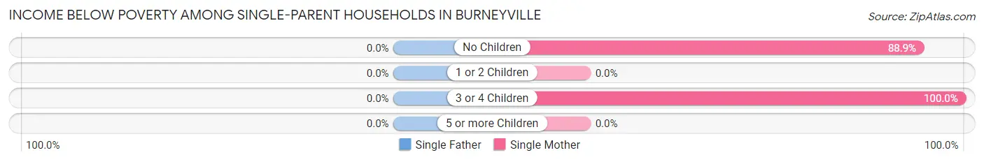 Income Below Poverty Among Single-Parent Households in Burneyville
