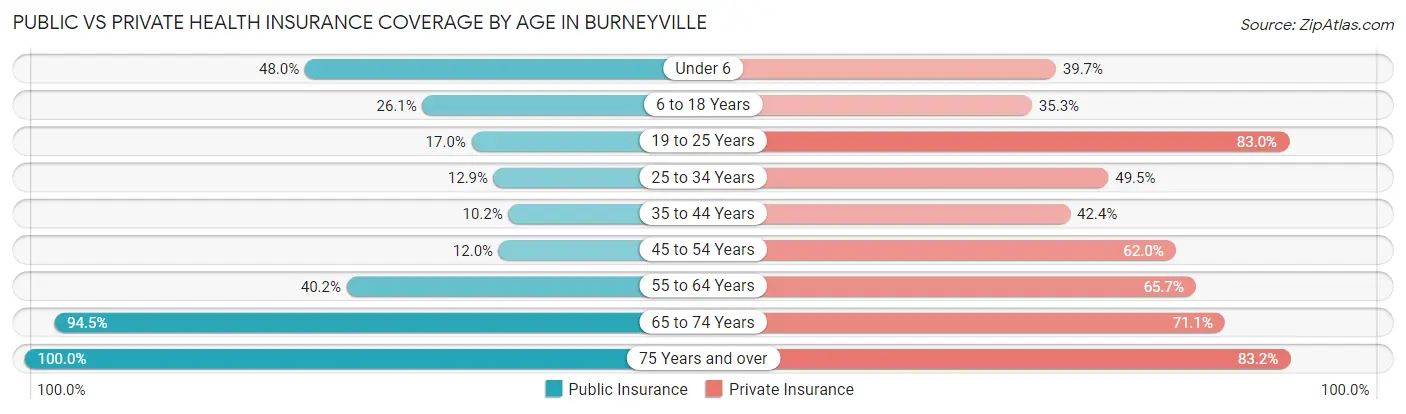 Public vs Private Health Insurance Coverage by Age in Burneyville