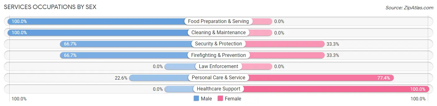 Services Occupations by Sex in Burneyville