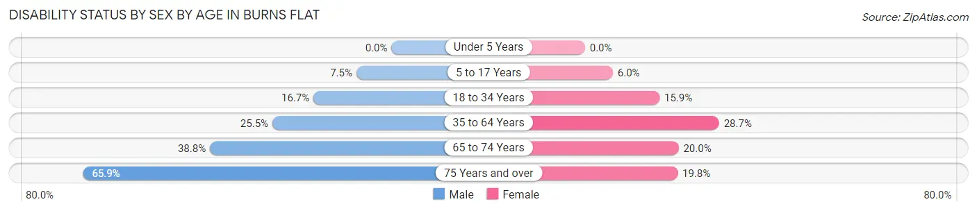 Disability Status by Sex by Age in Burns Flat