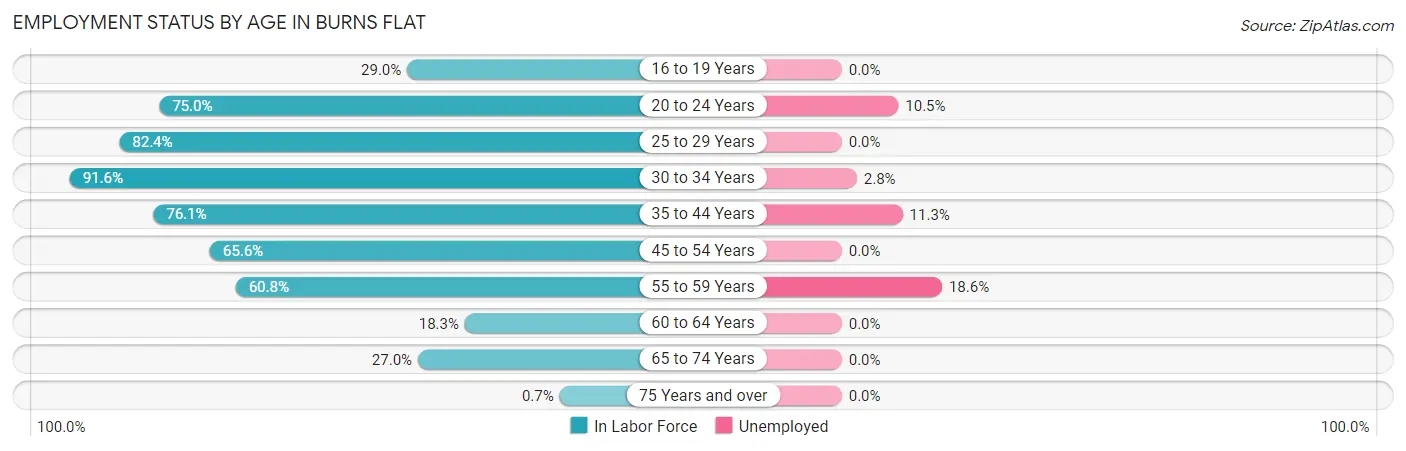 Employment Status by Age in Burns Flat
