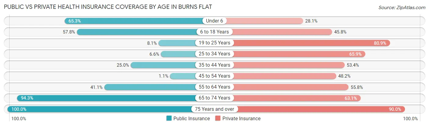 Public vs Private Health Insurance Coverage by Age in Burns Flat
