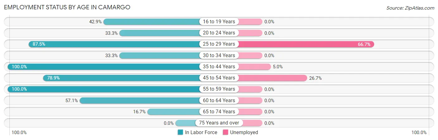 Employment Status by Age in Camargo