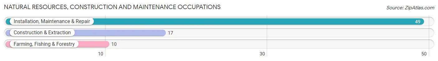 Natural Resources, Construction and Maintenance Occupations in Carnegie