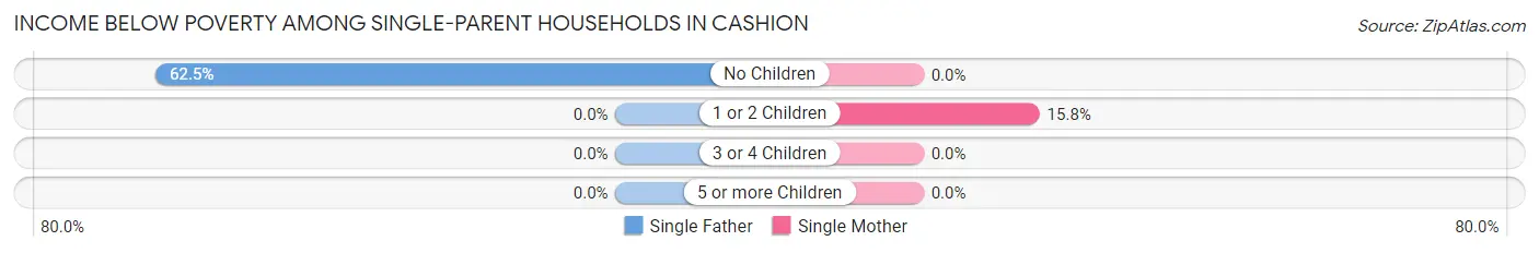 Income Below Poverty Among Single-Parent Households in Cashion
