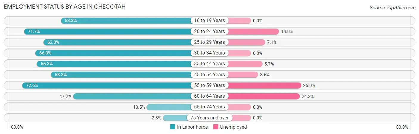 Employment Status by Age in Checotah