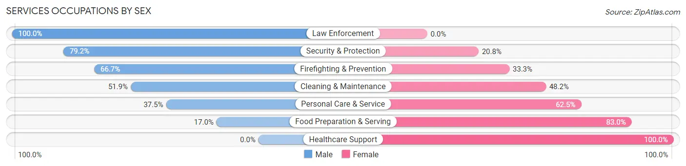 Services Occupations by Sex in Chelsea