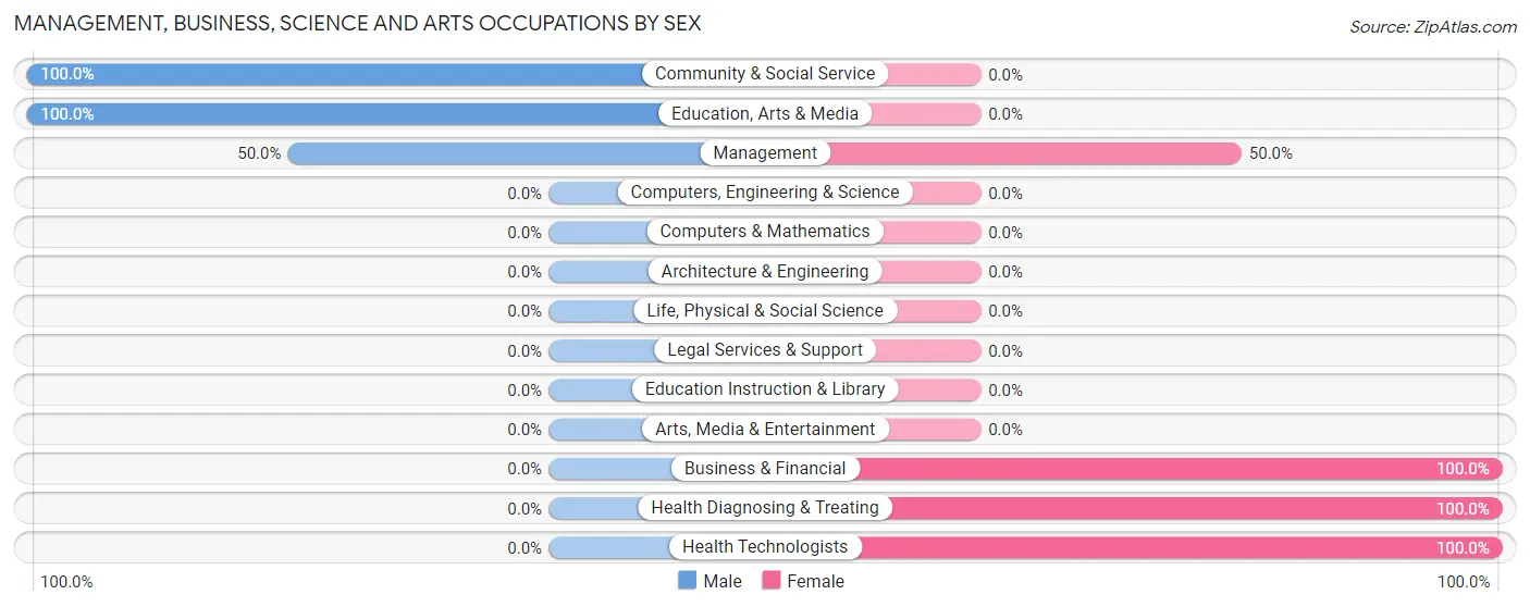 Management, Business, Science and Arts Occupations by Sex in Chewey