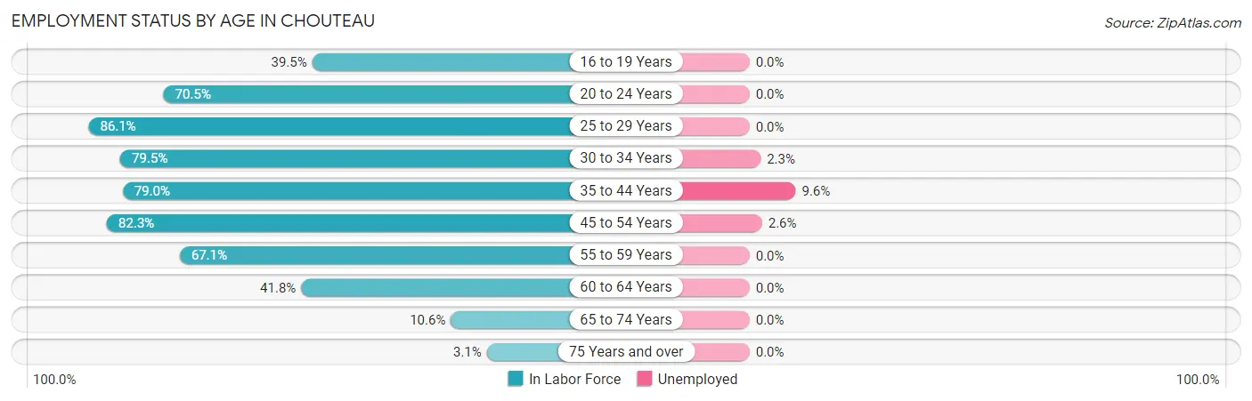Employment Status by Age in Chouteau