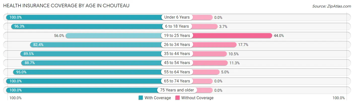 Health Insurance Coverage by Age in Chouteau
