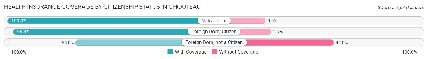 Health Insurance Coverage by Citizenship Status in Chouteau