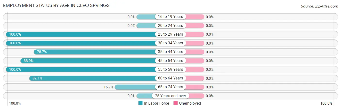 Employment Status by Age in Cleo Springs