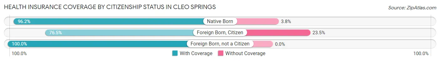 Health Insurance Coverage by Citizenship Status in Cleo Springs
