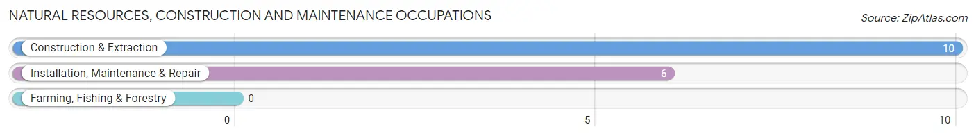 Natural Resources, Construction and Maintenance Occupations in Coyle