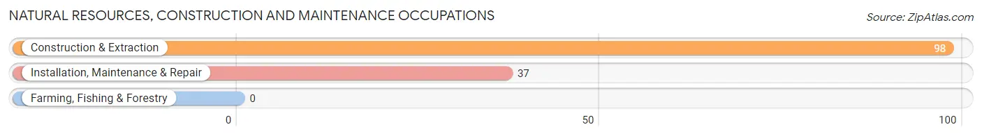 Natural Resources, Construction and Maintenance Occupations in Davis