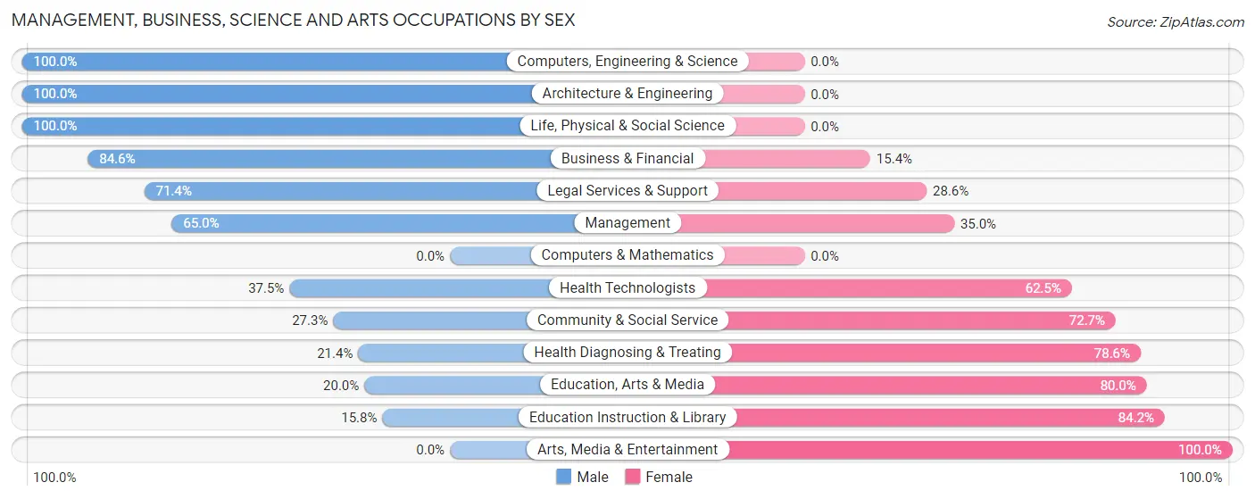 Management, Business, Science and Arts Occupations by Sex in Dibble