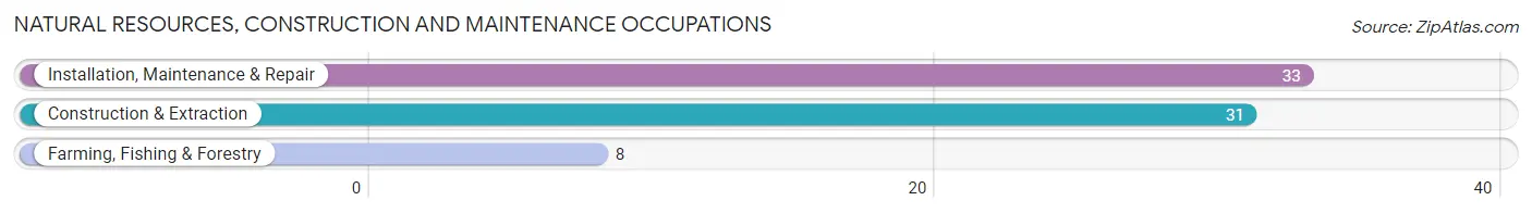 Natural Resources, Construction and Maintenance Occupations in Dibble