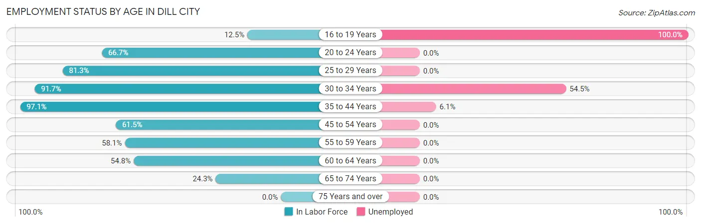 Employment Status by Age in Dill City