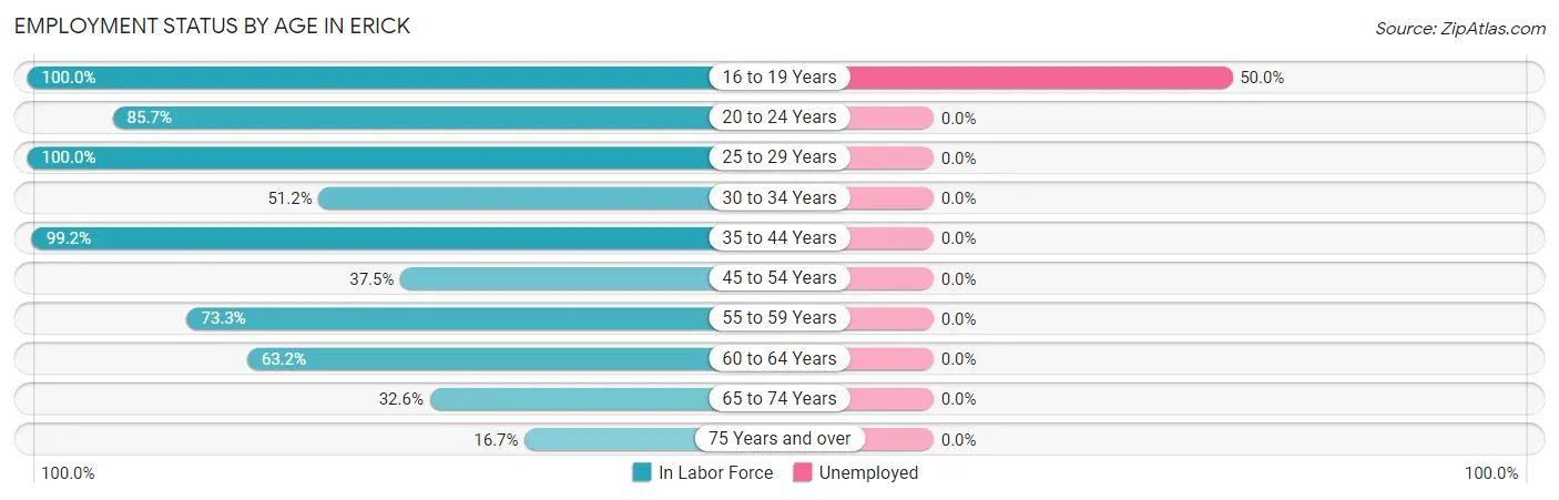 Employment Status by Age in Erick