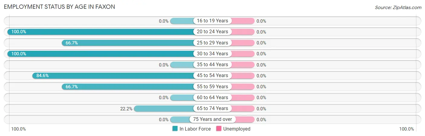Employment Status by Age in Faxon