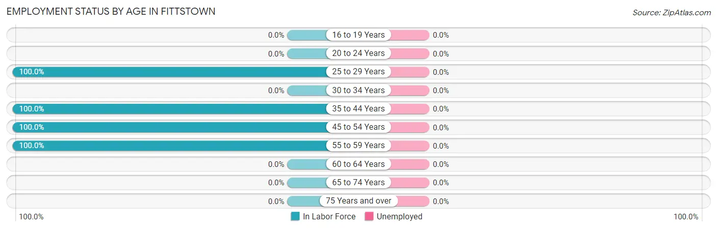 Employment Status by Age in Fittstown