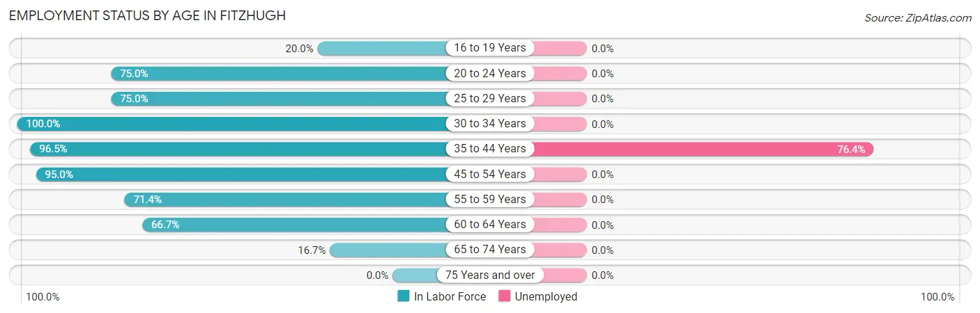 Employment Status by Age in Fitzhugh