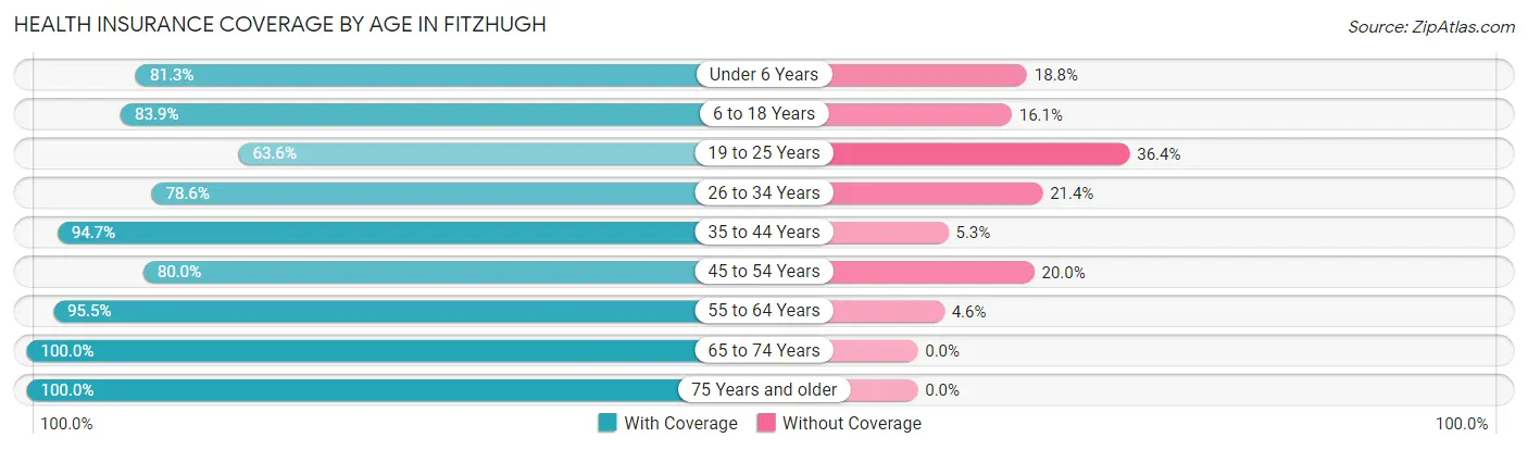 Health Insurance Coverage by Age in Fitzhugh