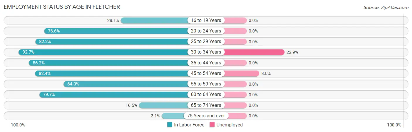 Employment Status by Age in Fletcher