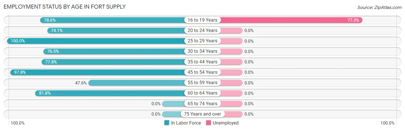 Employment Status by Age in Fort Supply