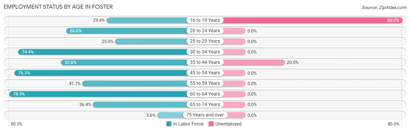 Employment Status by Age in Foster