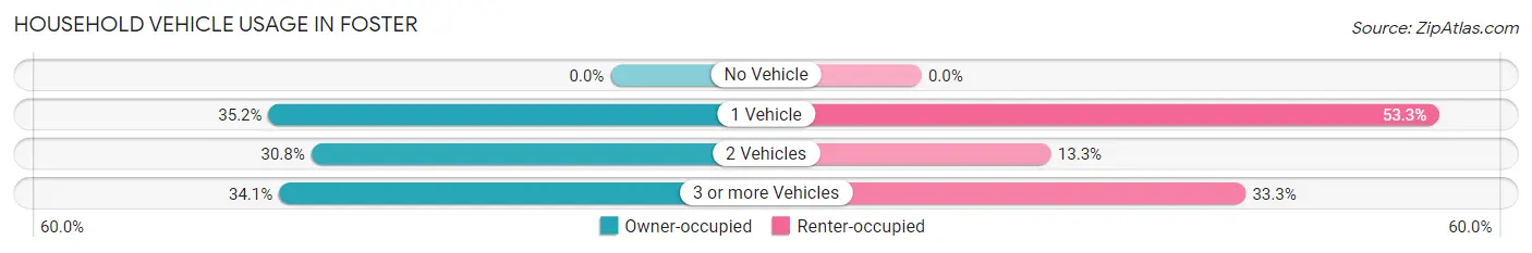 Household Vehicle Usage in Foster