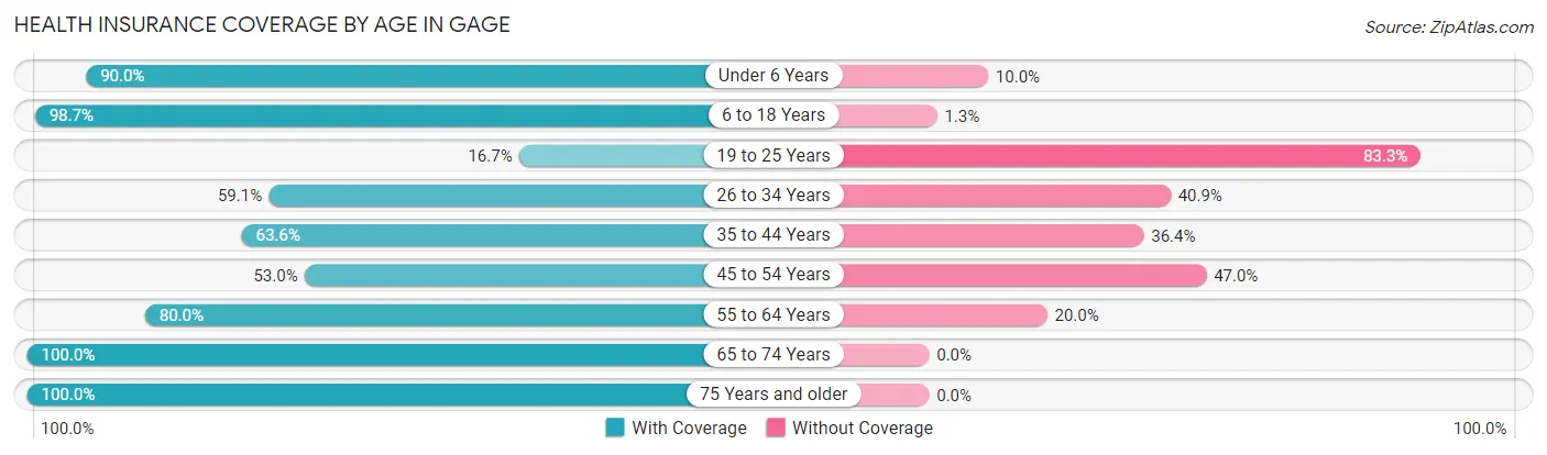 Health Insurance Coverage by Age in Gage