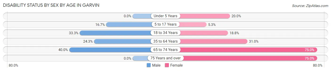 Disability Status by Sex by Age in Garvin