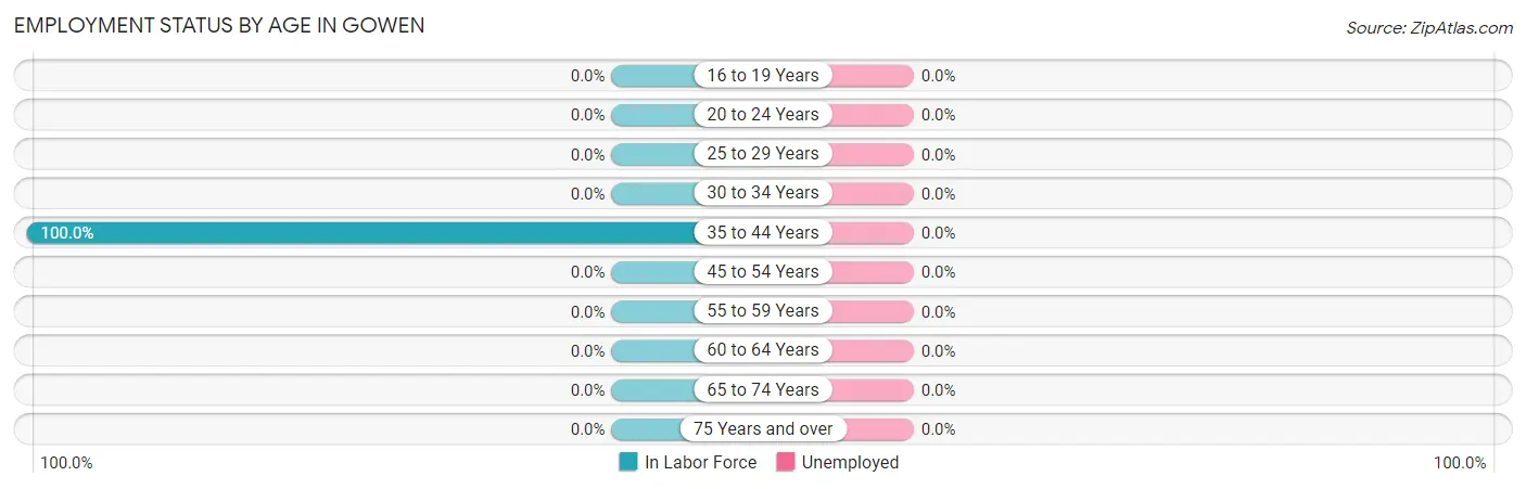 Employment Status by Age in Gowen