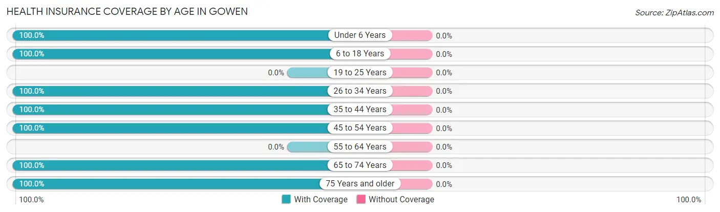 Health Insurance Coverage by Age in Gowen