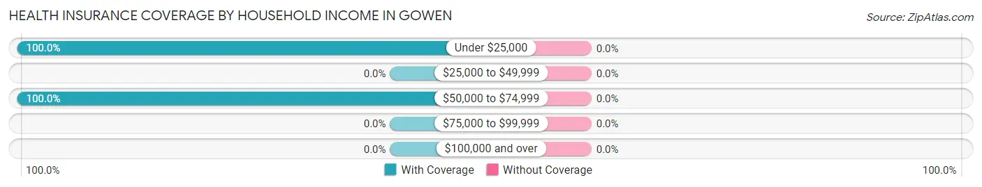 Health Insurance Coverage by Household Income in Gowen