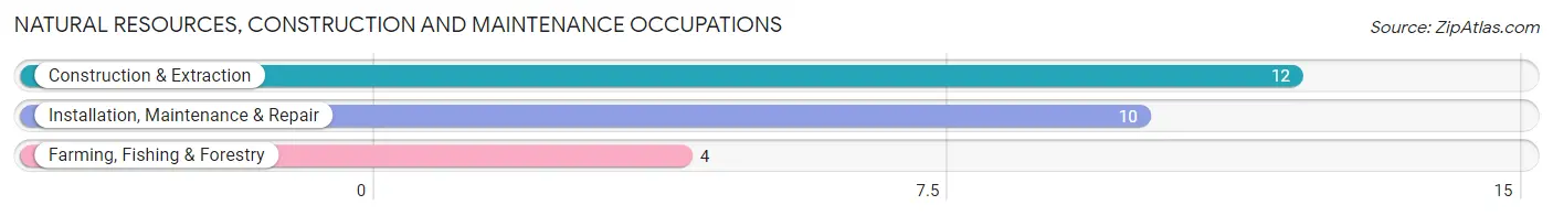 Natural Resources, Construction and Maintenance Occupations in Gracemont