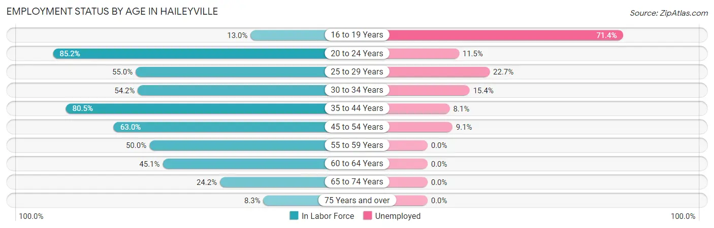 Employment Status by Age in Haileyville