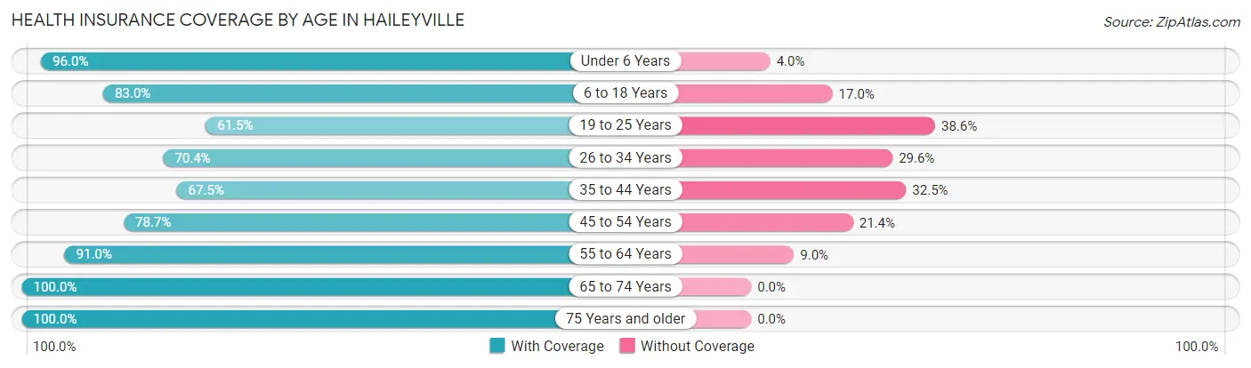 Health Insurance Coverage by Age in Haileyville