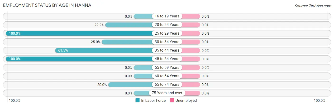Employment Status by Age in Hanna