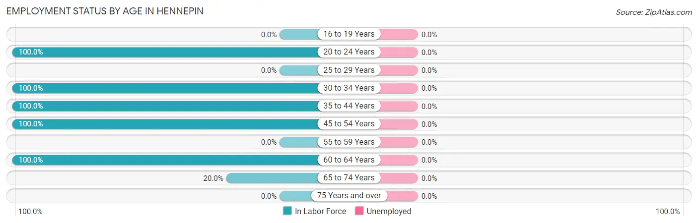 Employment Status by Age in Hennepin
