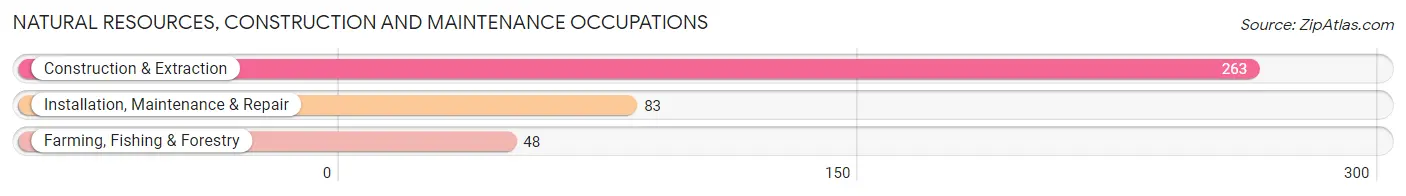 Natural Resources, Construction and Maintenance Occupations in Hinton