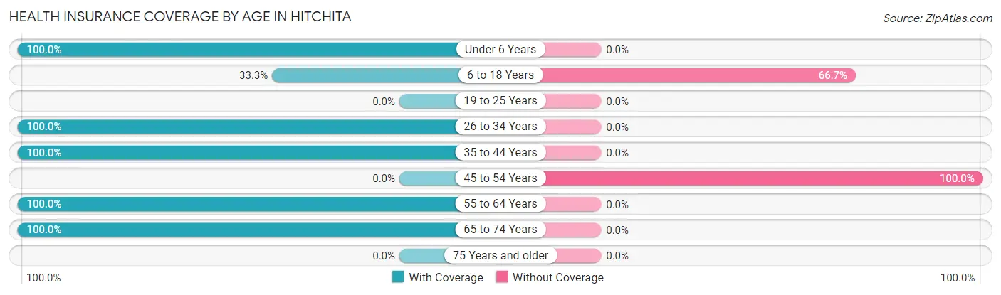 Health Insurance Coverage by Age in Hitchita