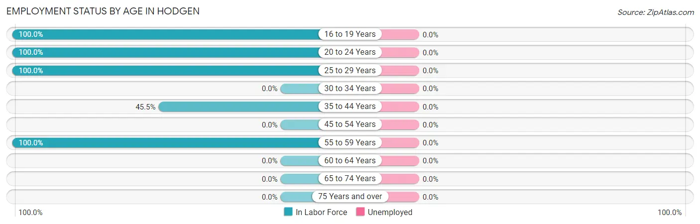 Employment Status by Age in Hodgen