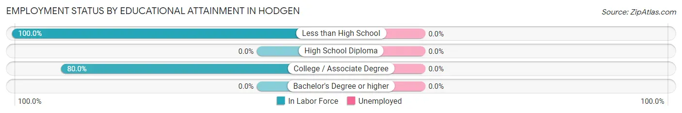 Employment Status by Educational Attainment in Hodgen