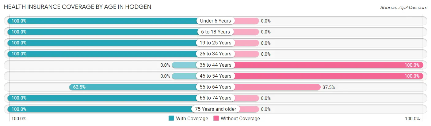 Health Insurance Coverage by Age in Hodgen
