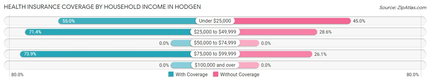 Health Insurance Coverage by Household Income in Hodgen